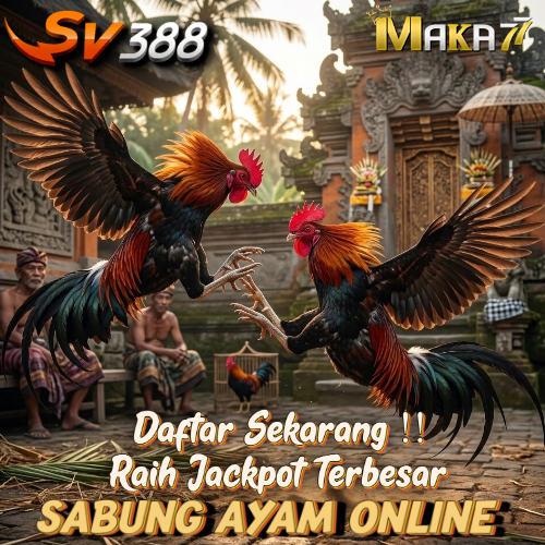 SV388 > Situs Judi Sabung Ayam Online Taruhan Live Arena Terlengkap 24 Jam